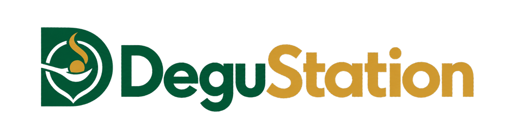 DeguStation